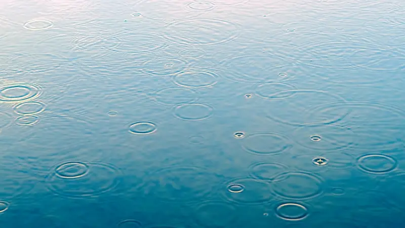 雨の日